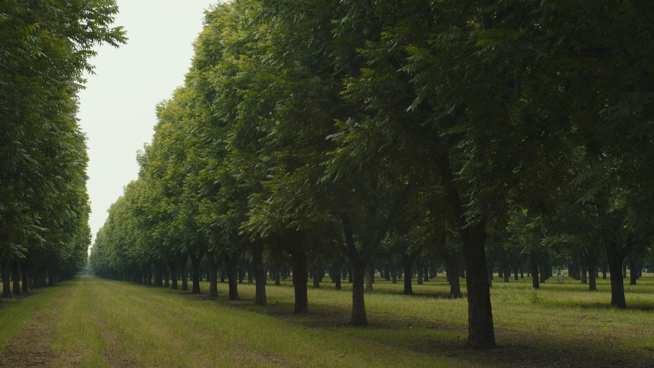 Production still